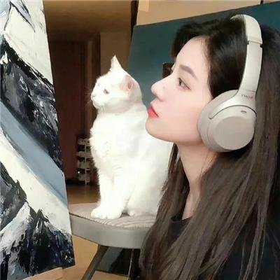 丢羊